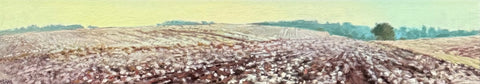 “Lush Cotton” by Crista Pisano