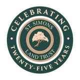 The Nature of Art - Land and Landscapes of St. Simons Island