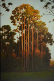 Move Beyond the Photograph with Steven Walker - November 7-9, 2026