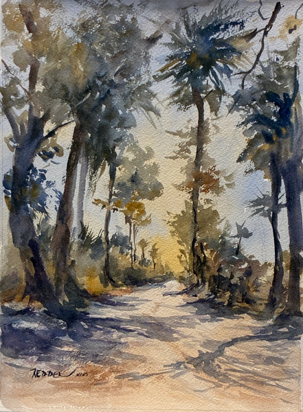 "Ossabaw Island Path" by Deborah Redden