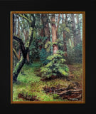 "Wondering Through the Redwoods" by Christina Wysocki