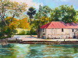 "Behind Publix on Johnny Mercer" by Mimi Diamond