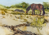 "Shaggy Horses on Cumberland" by Kathy Rennell Forbes