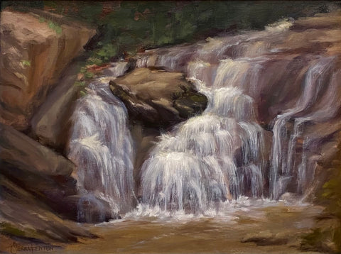 "Cupid Falls" by Sierra Fenton