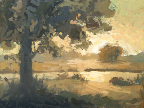 "Gathering Light" by Adam Houston