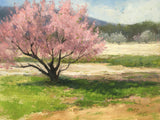 "Dressed in Pink" by Peggy Immel