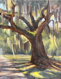 "Southern Shade" by Sierra Fenton