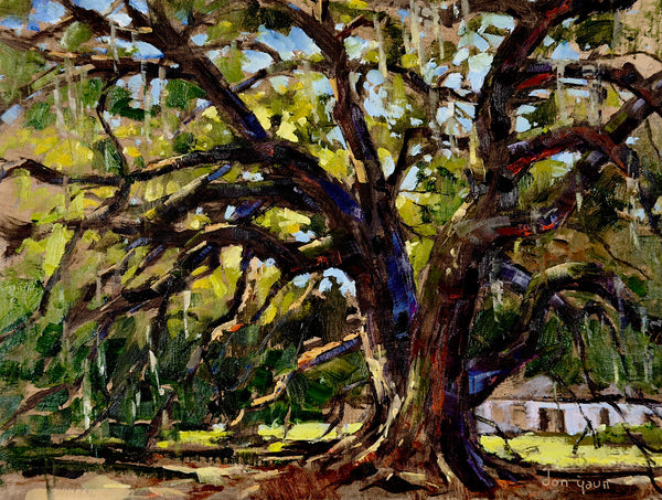 "Majestic Oak Tree" by Don Yaun