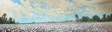 "Southern Snow" by Crista Pisano