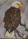 "Spirit Uncaged" by Christina H. Wysocki