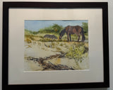 "Shaggy Horses on Cumberland" by Kathy Rennell Forbes
